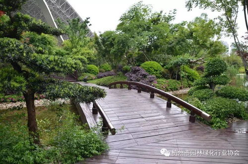 2016年度杭州市优秀园林绿化工程综合组金奖 杭州国际博览中心项目屋面园林绿化工程